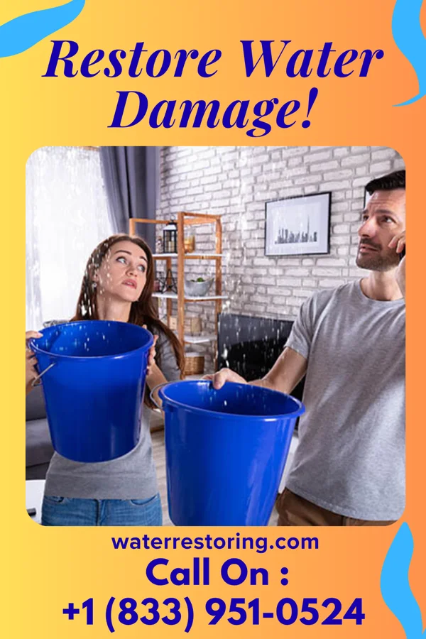 water restoration Prestige Flood Mitigation Experts Louise