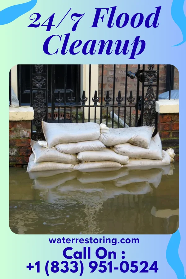 24/7 Flood Cleanup in Louise, MS