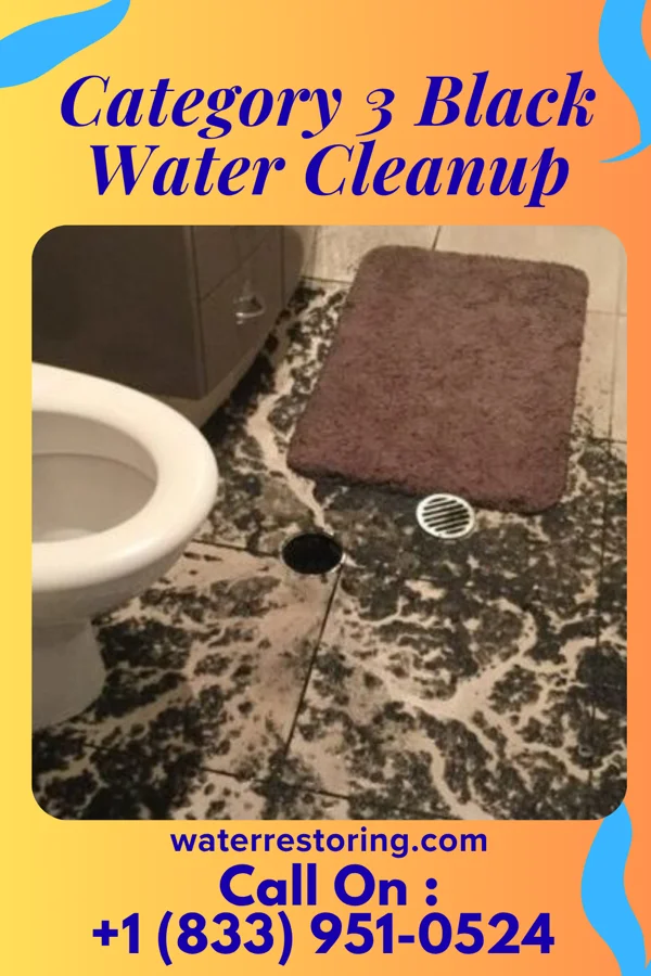 Category 3 Black Water Cleanup in Louise, MS
