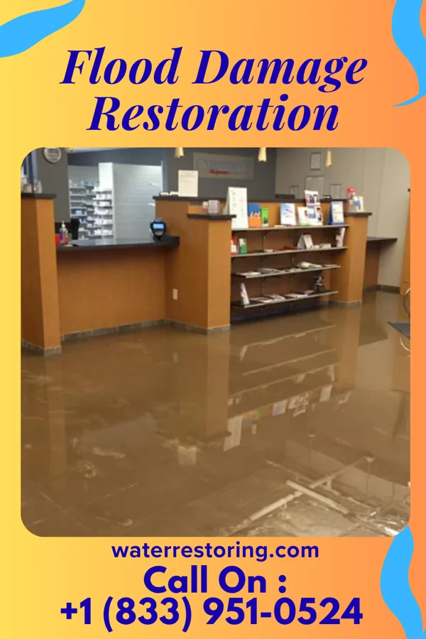 Flood Damage Restoration in Louise, MS