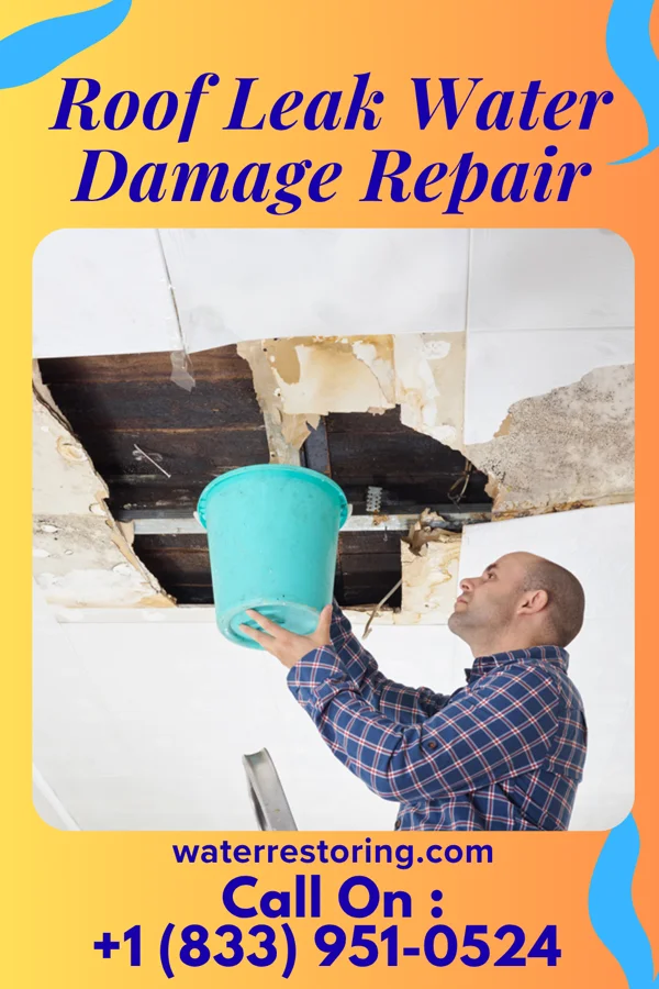 Roof Leak Water Damage Repair in Louise, MS