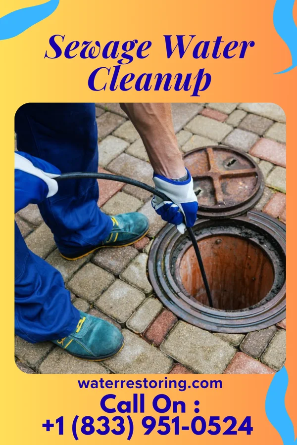 Sewage Water Cleanup in Louise, MS
